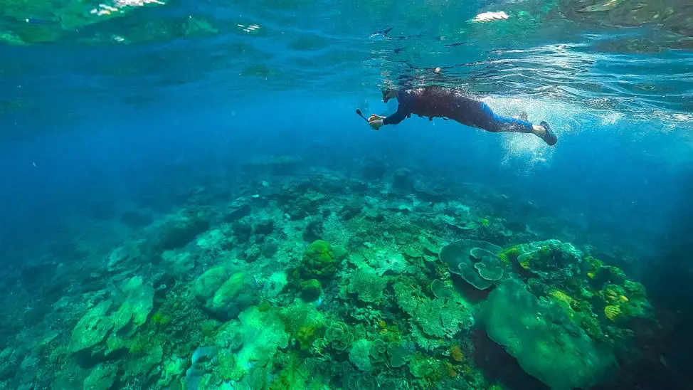 Snorkelling